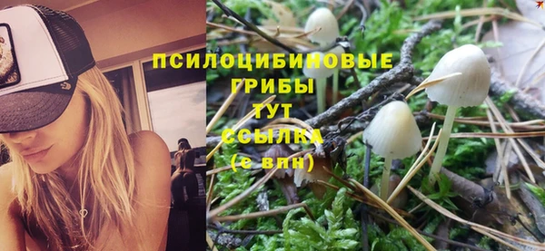 таблы Михайловка
