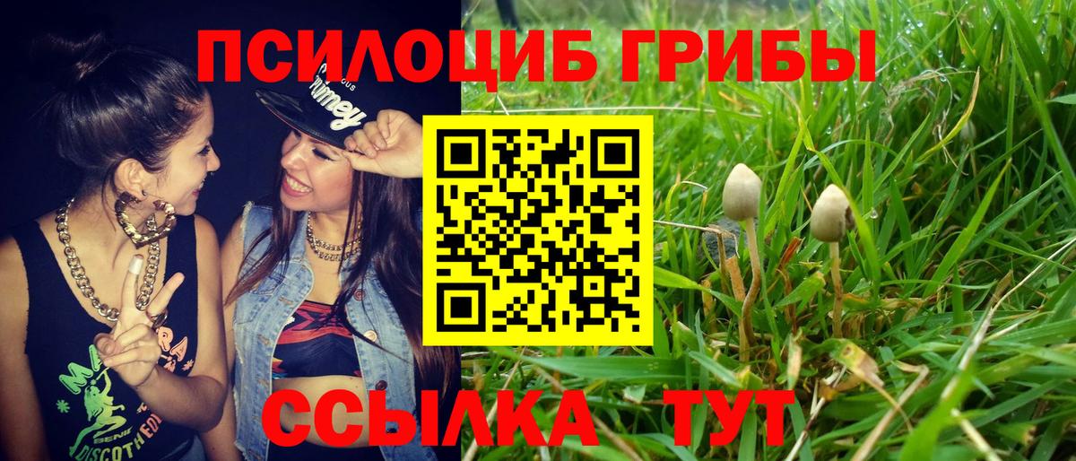 Псилоцибиновые грибы Magic Shrooms Качканар